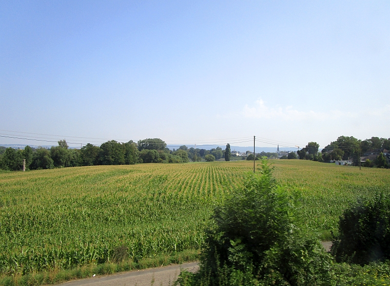 Landschaft am Mittelrhein