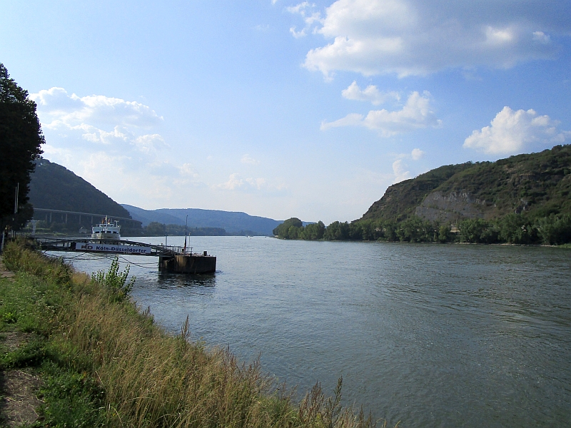 Rhein bei Andernach