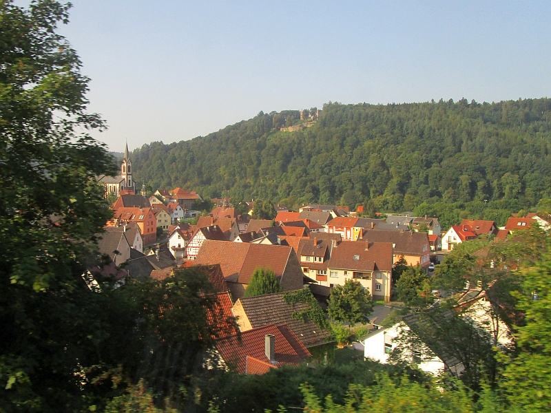 Minneburg über den Dächern von Neckargerach