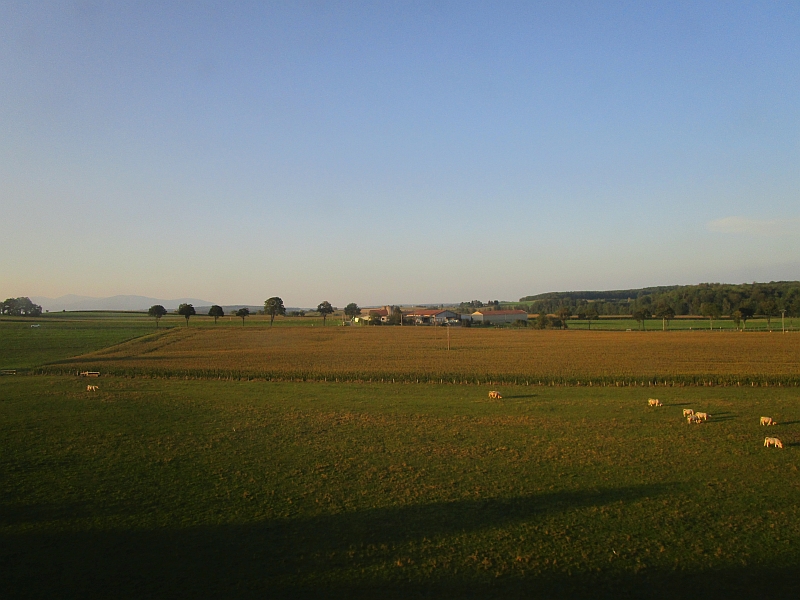 Blick aus dem Zugfenster zwischen Belfort und Mulhouse