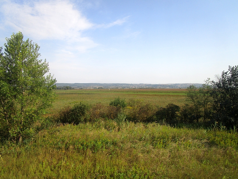 Blick auf das Sumpfgebiet des Naturparks Sárréti Tájvédelmi Körzet