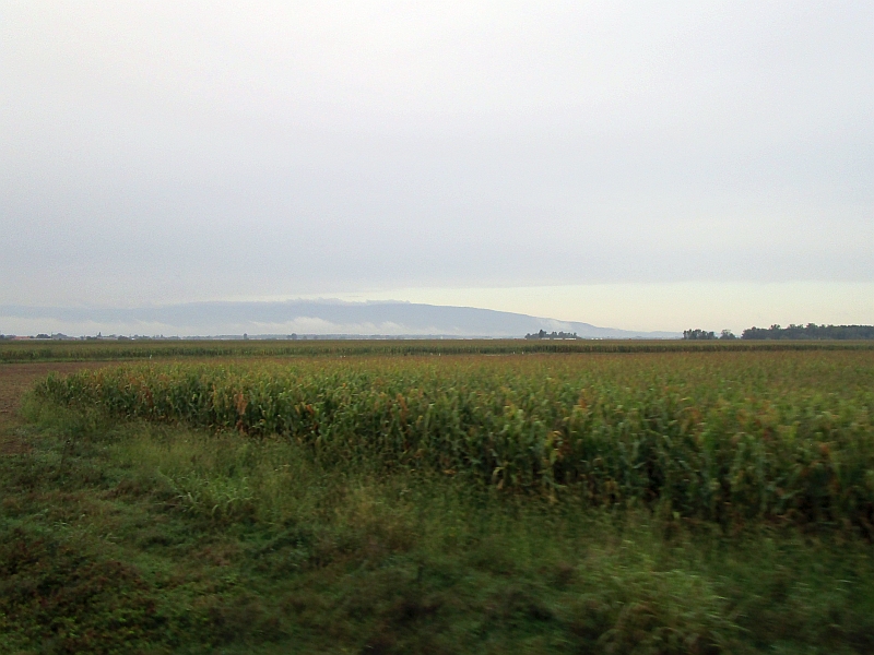 Blick aus dem Zugfenster zwischen Pragersko und Ptuj
