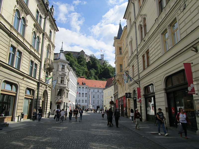 Burg über der Altstadt von Ljubljana