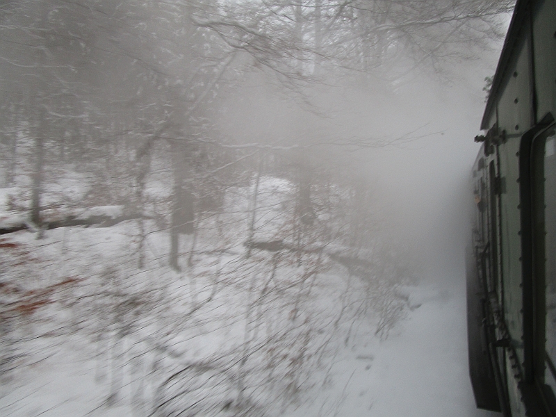 Fahrt mit dem Dampfzug durch den Winterwald
