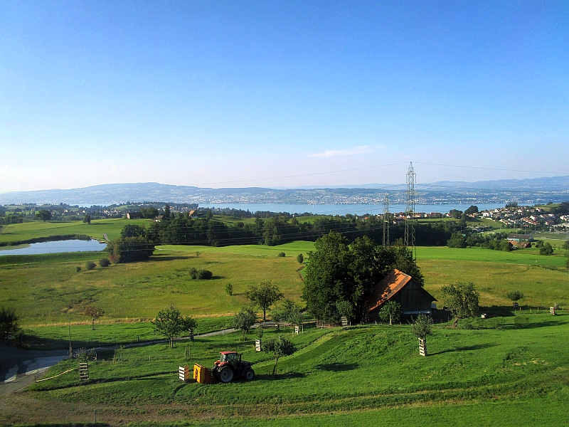 Blick auf den Zürichsee