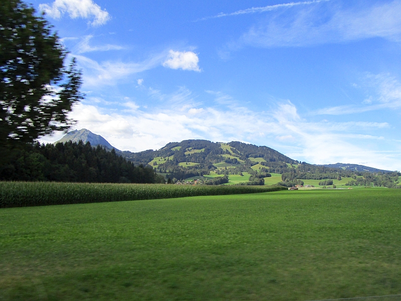Blick vom Zug auf die Landschaft der Freiburger Voralpen