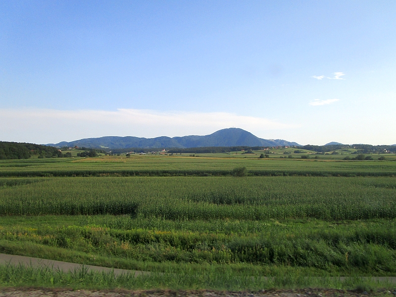 Blick vom Zug auf das Draufeld (Dravsko polje)