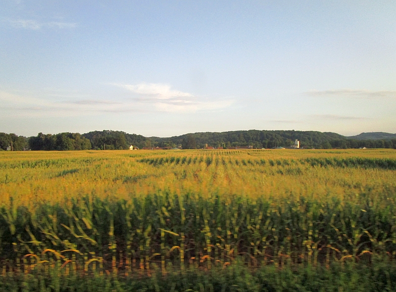 Blick aus dem Zugfenster auf der Radkersburger Bahn