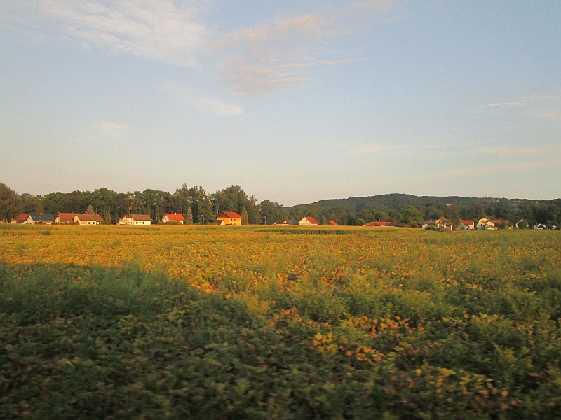 Fahrt auf der Radkersburger Bahn