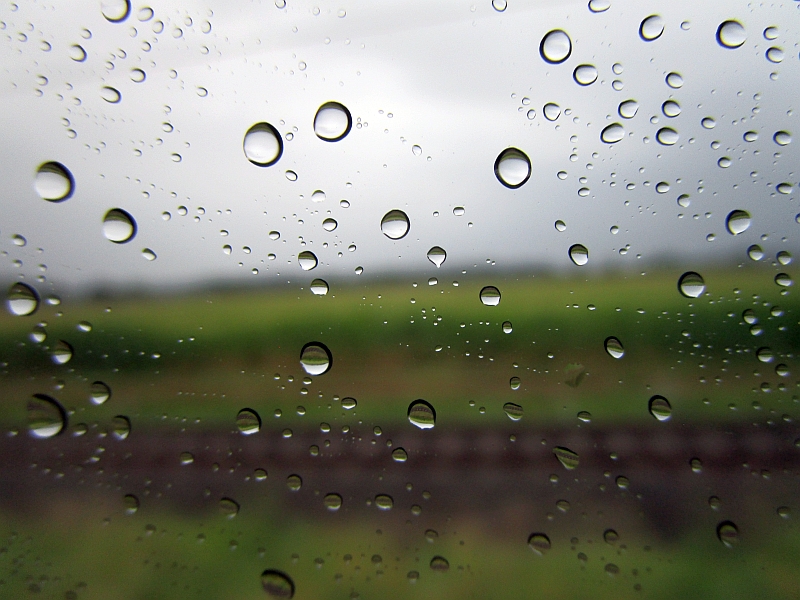 Fahrt bei Regen mit dem Bus parallel zu den Bahngleisen der Radkersburger Bahn