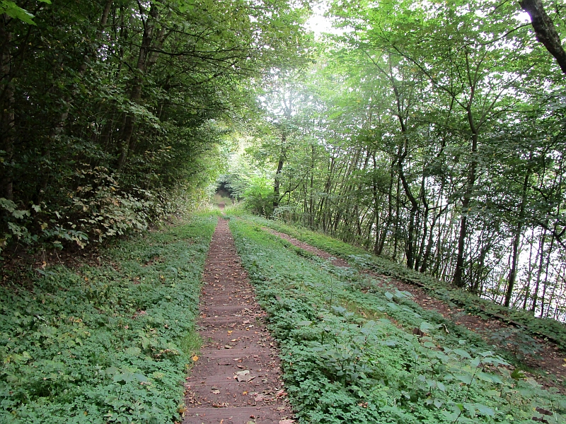 Spitzkehre der Hafenbahn