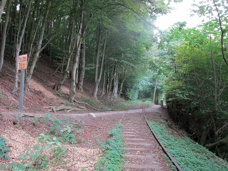 Streckenverlauf durch einen Wald oberhalb des Hafens