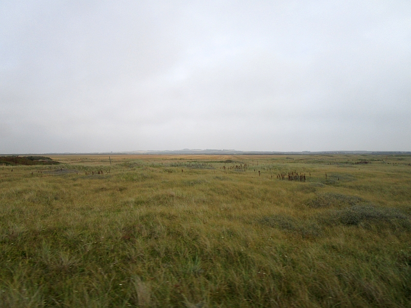 Dünenlandschaft an der Lemvigbahn