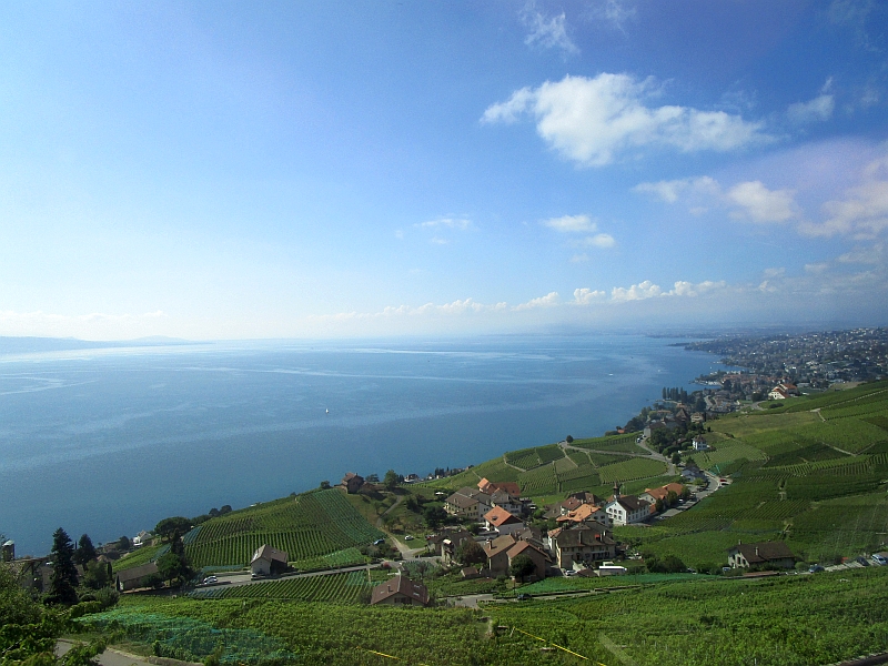 Blick über die Weinberge des Lavaux zum Genfersee