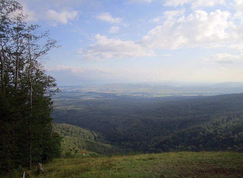 Blick vom Zug zum Genfersee