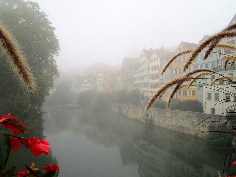 Neckarfront in Tübingen bei Nebel