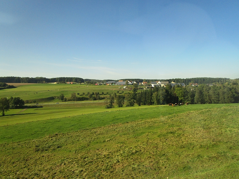 Blick aus dem Zugfenster bei Schwackenreute