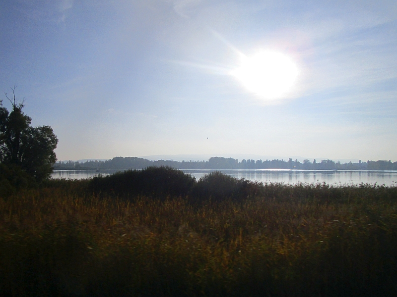Fahrt am Ufer des Untersees