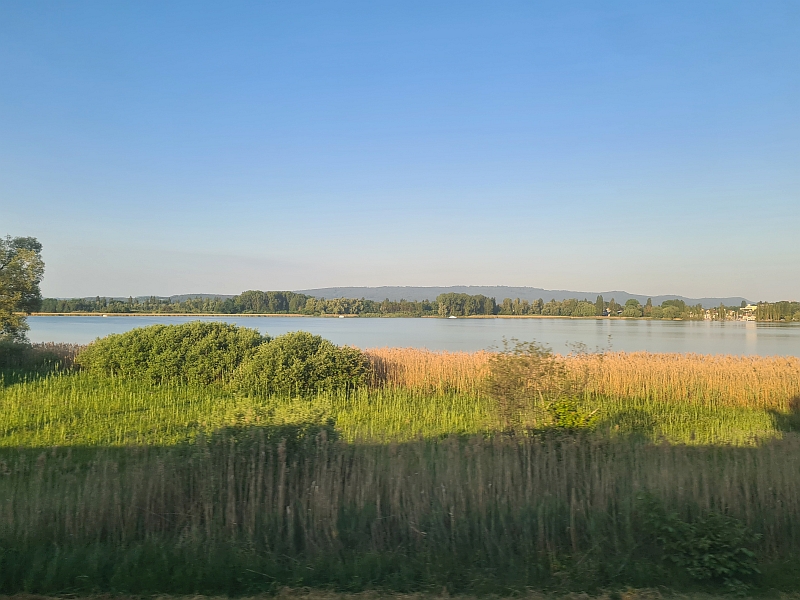 Blick aus dem Zugfenster auf den Untersee des Bodensees