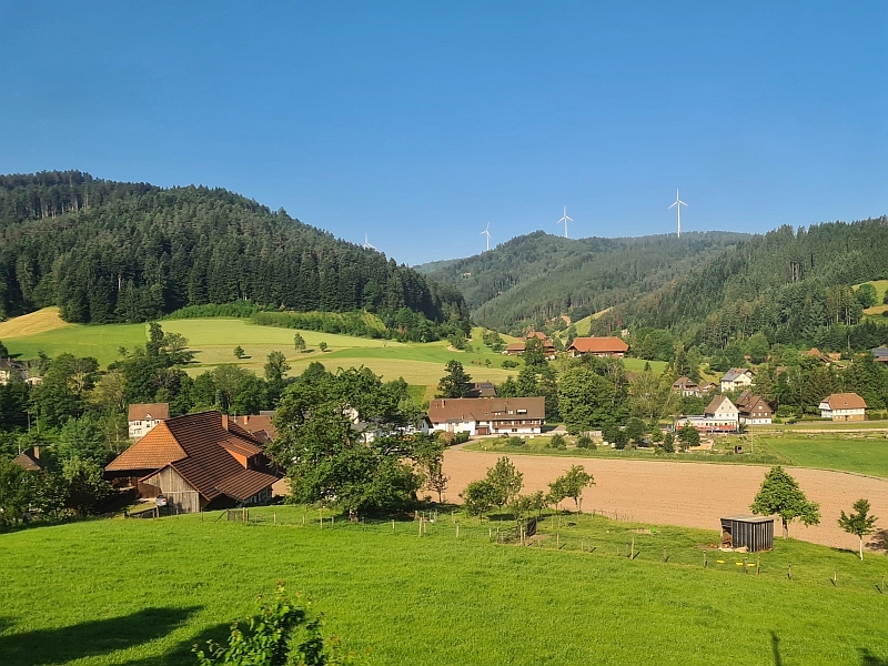 Fahrt durch das Gutachtal
