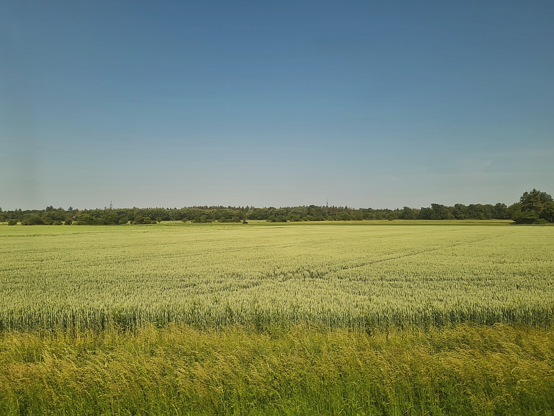 Fahrt durch die Oberrheinebene
