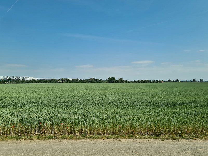 Blick aus dem Zugfenster auf der Rhein-Haardtbahn