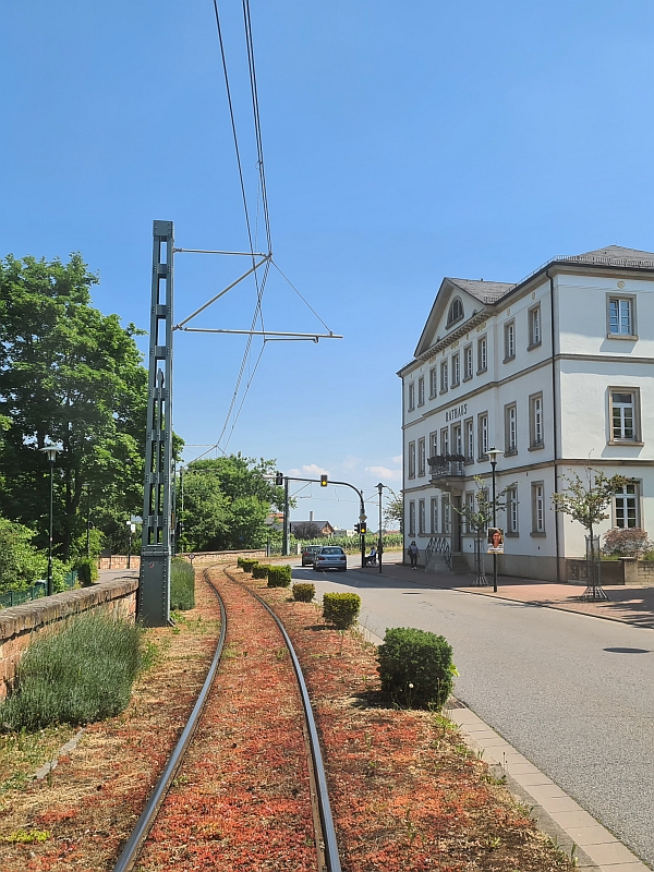 Streckenführung am Rathaus von Bad Dürkheim