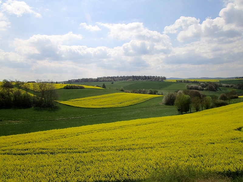 Unterwegs im Hintertaunus