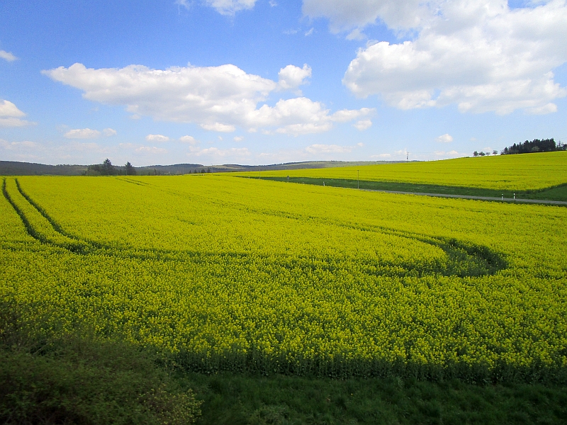 Fahrt durch den Hintertaunus