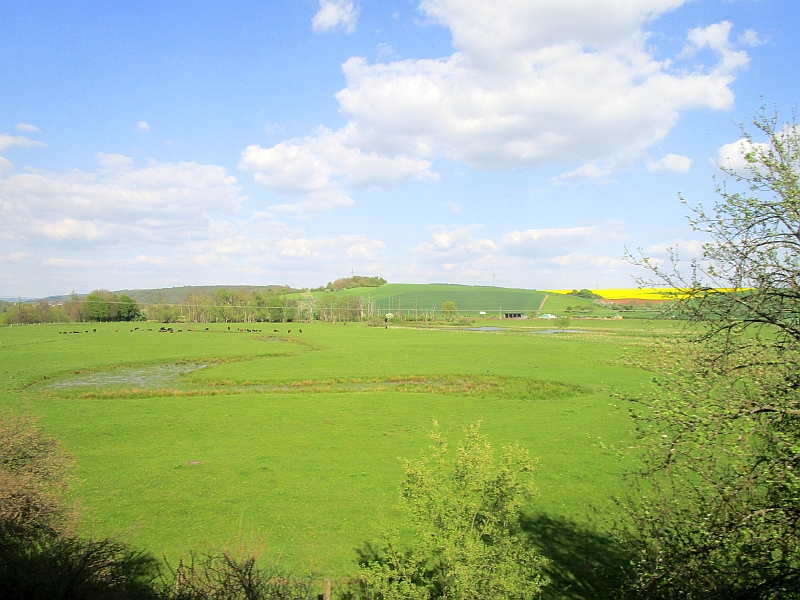 Blick vom Zug auf die Nidderauen
