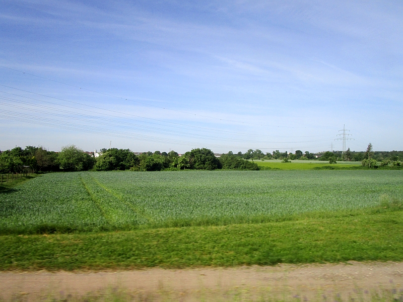 Blick aus dem Zugfenster in der Untermainebene