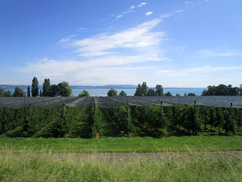 Blick aus dem Zugfenster am schweizerischen Bodenseeufer