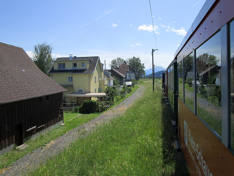 Fahrt auf dem Rheindamm am Ortsrand von Lustenau