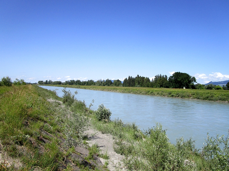 Rhein bei Widnau