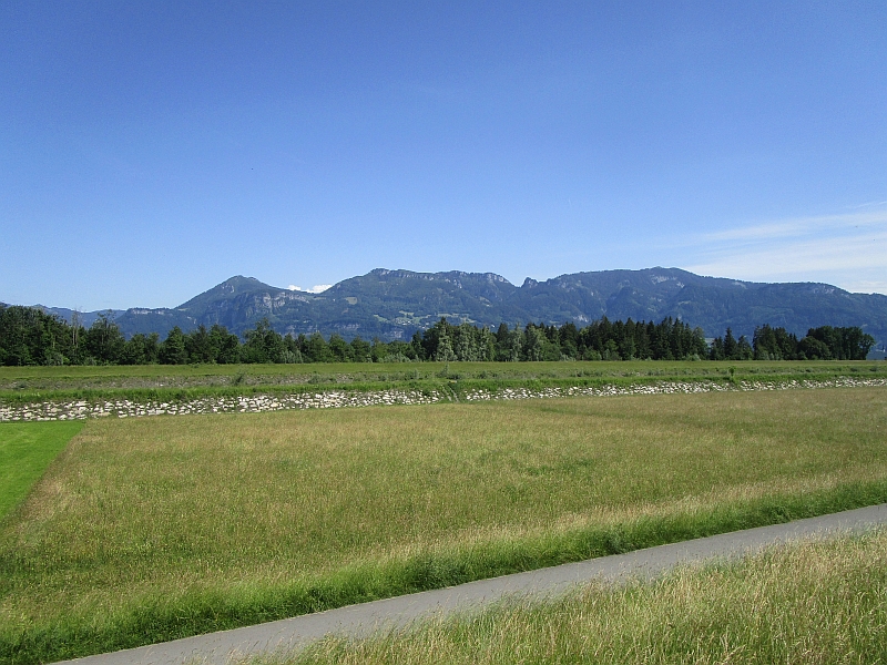 Blick vom Zug über den Rhein zum Bregenzerwald