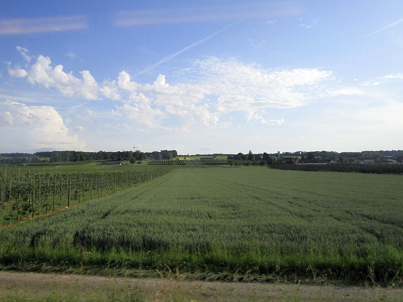 Blick vom Zug auf die Landschaft des schweizerischen Bodensee-Hinterlands