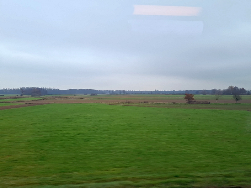 Blick aus dem Zugfenster in der Ortenau