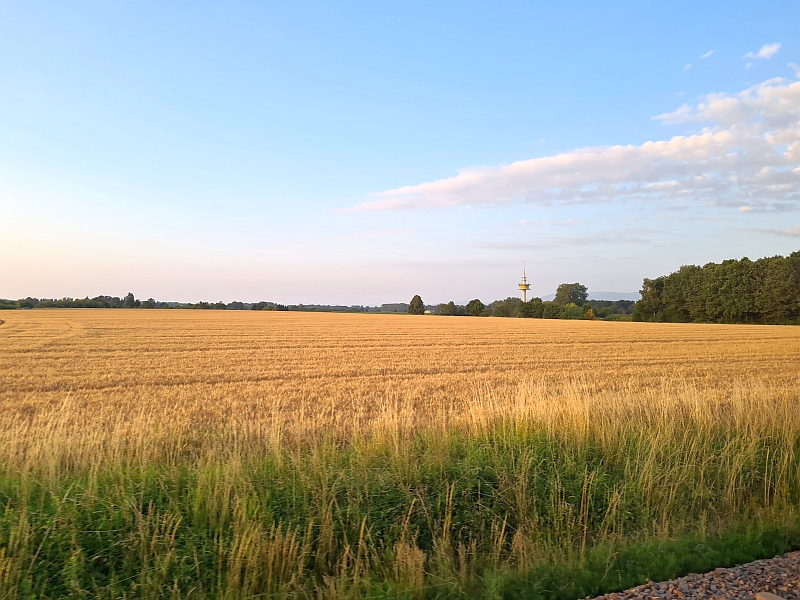 [image]