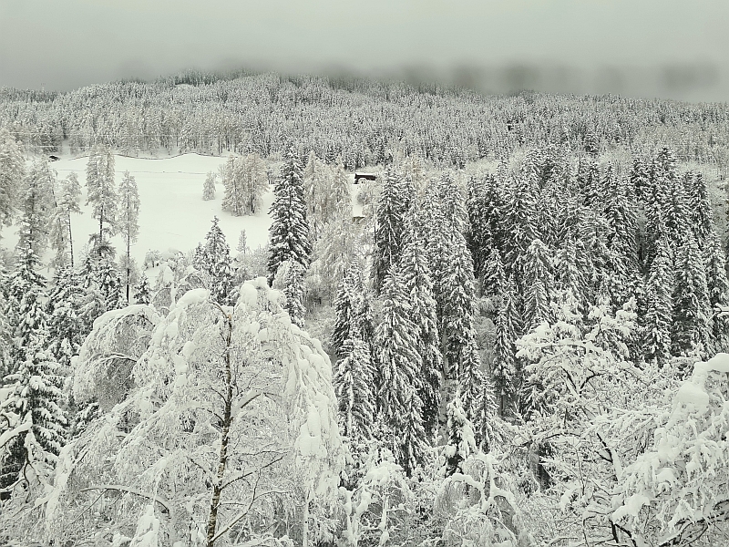 Blick vom Zug auf die Winterlandschaft am Brenner