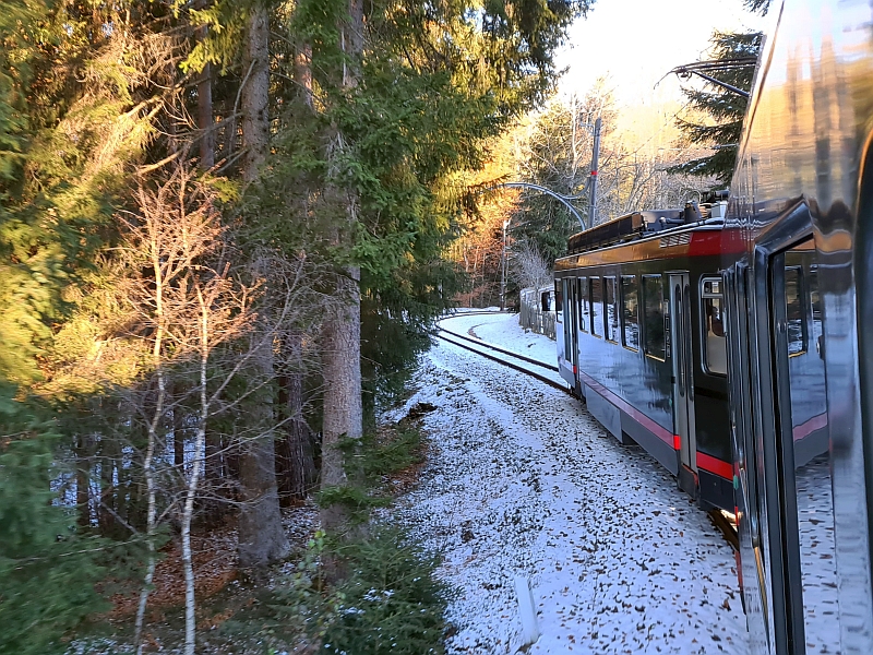 Fahrt mit der Rittner Bahn durch ein Waldstück