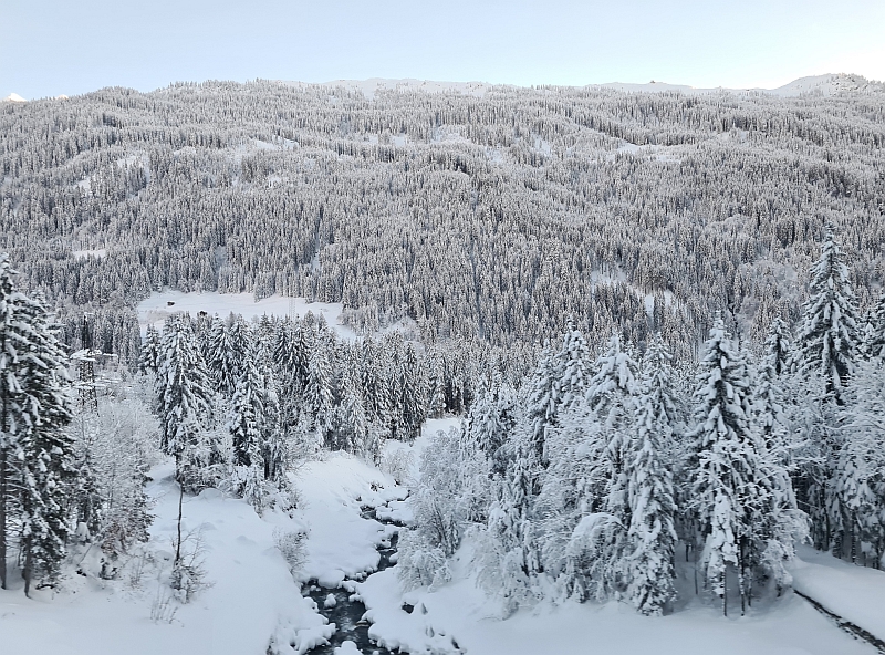 Blick aus dem Zugfenster auf der Westrampe der Arlbergbahn