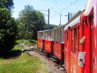 Außergewöhnliche S-Bahnen zwischen Bodensee und Zürichsee